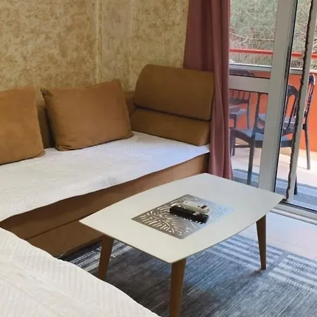 Roni Apartman *